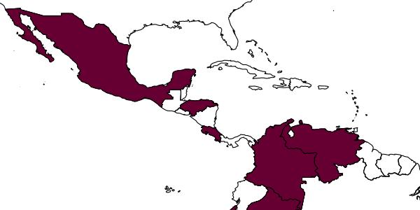 map of Brachymeria costalimai     Delvare, 2017
